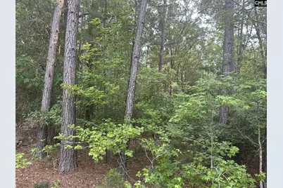 320 Dewdrop Drive, Ridgeway, SC 29130 - Photo 4