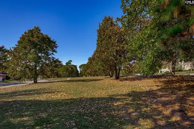 117 Parish Walk, Elgin, SC 29045 - Photo 78