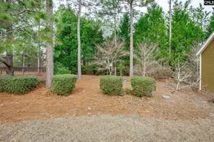 117 Parish Walk, Elgin, SC 29045 - Photo 68