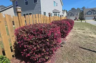 247 Ashewicke Dr, Columbia, SC 29229 - Photo 92