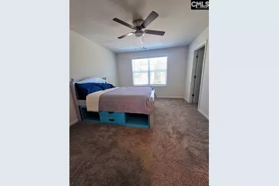 247 Ashewicke Drive, Columbia, SC 29229 - Photo 46