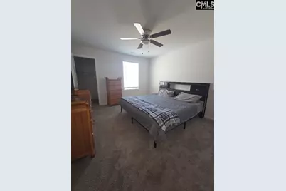 247 Ashewicke Drive, Columbia, SC 29229 - Photo 44