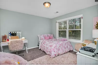 363 Asa Rose Lane, Lexington, SC 29072 - Photo 34