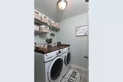 363 Asa Rose Lane, Lexington, SC 29072 - Photo 38