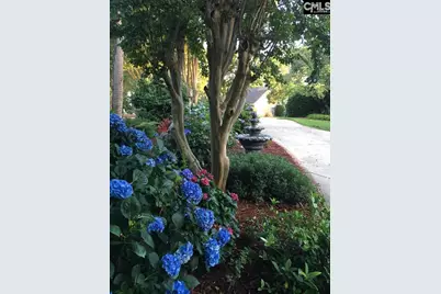 449 Lake Estate Drive, Chapin, SC 29036 - Photo 60