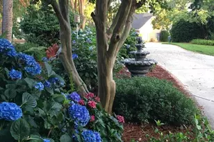 449 Lake Estate Dr, Chapin, SC 29036 - Photo 60