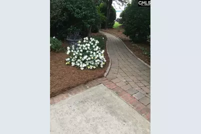 449 Lake Estate Drive, Chapin, SC 29036 - Photo 50