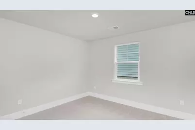 276 Livingston Woods Drive, Irmo, SC 29063 - Photo 18