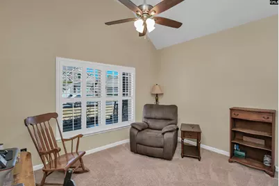 229 Lever Pass Road, Chapin, SC 29036 - Photo 20