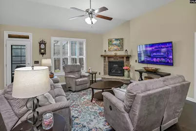 229 Lever Pass Road, Chapin, SC 29036 - Photo 6