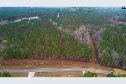 Lot 4 Retreat Way #Lot 4, Ridgeway, SC 29130 - Photo 16