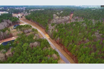 Lot 4 Retreat Way #Lot 4, Ridgeway, SC 29130 - Photo 28