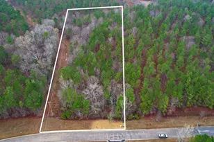 Lot 5 Retreat Way, Ridgeway, SC 29130 - Photo 1