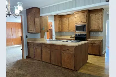 4229 Faust Street, Bamberg, SC 29003 - Photo 8