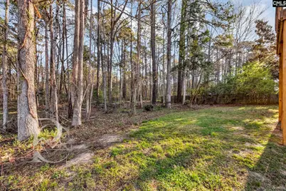 344 Gleneagle Circle, Irmo, SC 29063 - Photo 36