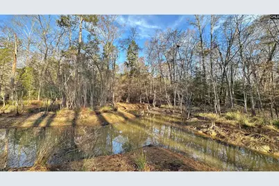 Richburg Lane, Prosperity, SC 29127 - Photo 10