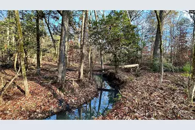 Richburg Lane, Prosperity, SC 29127 - Photo 12