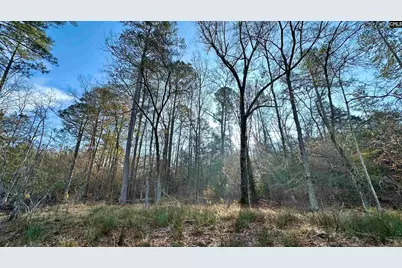 Richburg Lane, Prosperity, SC 29127 - Photo 8