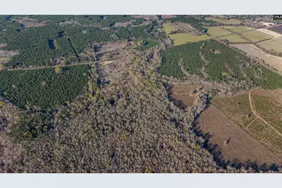 1856 River Road, Greeleyville, SC 29056 - Photo 22