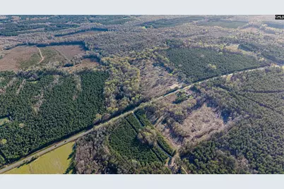 1856 River Road, Greeleyville, SC 29056 - Photo 2