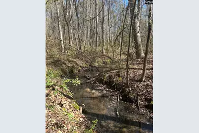 1856 River Road, Greeleyville, SC 29056 - Photo 4