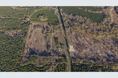 1856 River Road, Greeleyville, SC 29056 - Photo 24