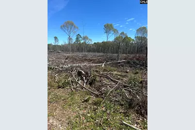 1856 River Road, Greeleyville, SC 29056 - Photo 8