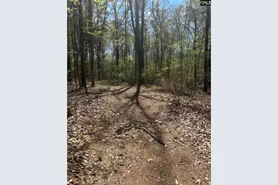 1856 River Road, Greeleyville, SC 29056 - Photo 10