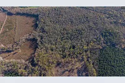 1856 River Road, Greeleyville, SC 29056 - Photo 20