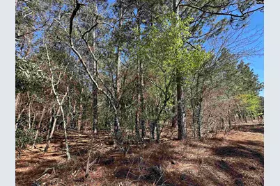 Lot 2 Mimosa Drive #2, Gaston, SC 29053 - Photo 2