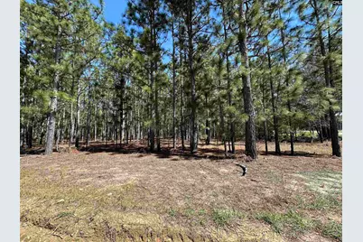 Lot 1 Mimosa Drive #1, Gaston, SC 29053 - Photo 2