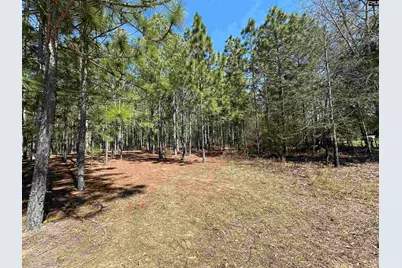 223 Mimosa Drive #1,2,5, Gaston, SC 29053 - Photo 2