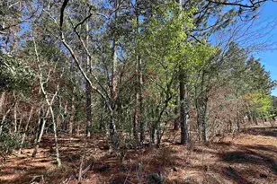 Lot 9 Mimosa Dr, Gaston, SC 29053 - Photo 1