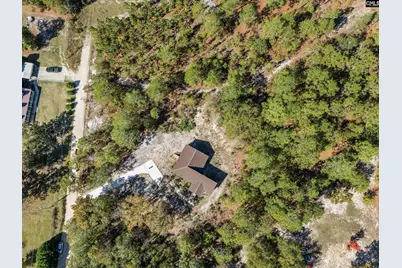 263 Sugar Loaf Road, Gaston, SC 29053 - Photo 28