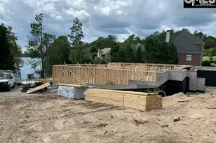 302 Aiken Hunt Cir, Columbia, SC 29223 - Photo 4