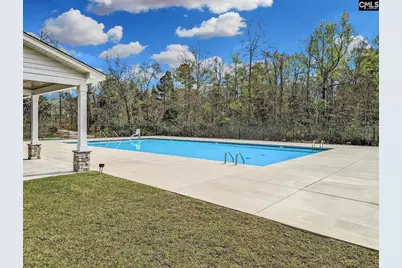 251 Meadow Saffron Drive, Lexington, SC 29073 - Photo 4