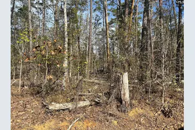 Holley Ferry Road, Leesville, SC 29070 - Photo 4