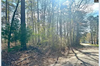 Holley Ferry Road, Leesville, SC 29070 - Photo 2