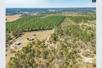 239 Blackthorn Drive, Gilbert, SC 29054 - Photo 54