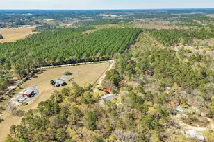 239 Blackthorn Dr, Gilbert, SC 29054 - Photo 54