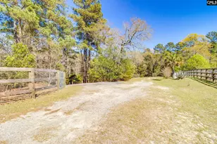 239 Blackthorn Dr, Gilbert, SC 29054 - Photo 48