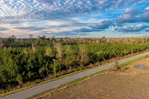 Tbd Bay Rd, Rowesville, SC 29133 - Photo 1