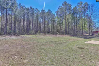 527 Calhoun Road, Swansea, SC 29160 - Photo 32