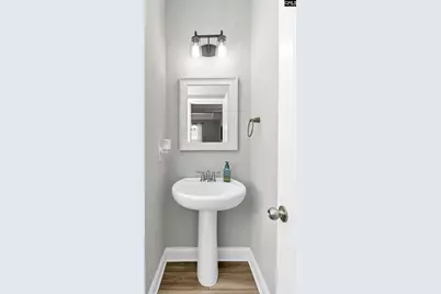 233 Falling Leaves Lane, Blythewood, SC 29016 - Photo 26