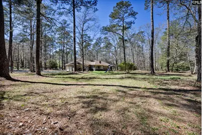 10 Dove Field Court, Hopkins, SC 29061 - Photo 40