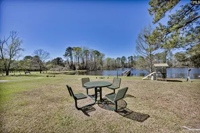 10 Dove Field Court, Hopkins, SC 29061 - Photo 48