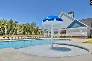 237 Timber Wood Dr, Chapin, SC 29036 - Photo 28