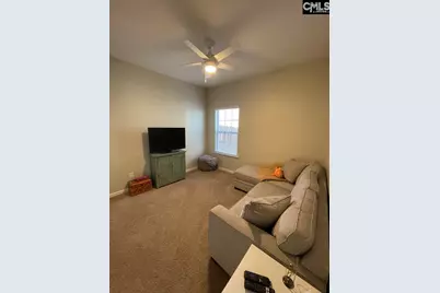 237 Timber Wood Drive, Chapin, SC 29036 - Photo 14