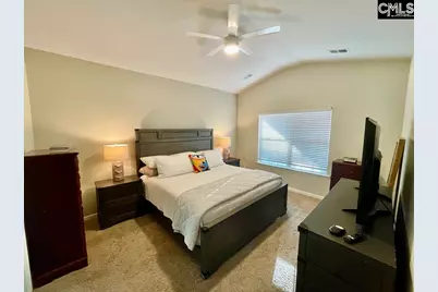 237 Timber Wood Drive, Chapin, SC 29036 - Photo 6