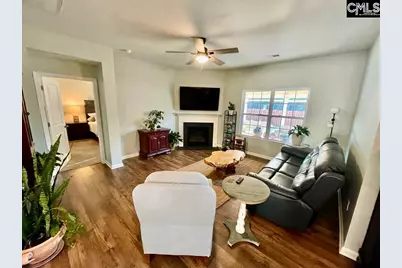 237 Timber Wood Drive, Chapin, SC 29036 - Photo 2